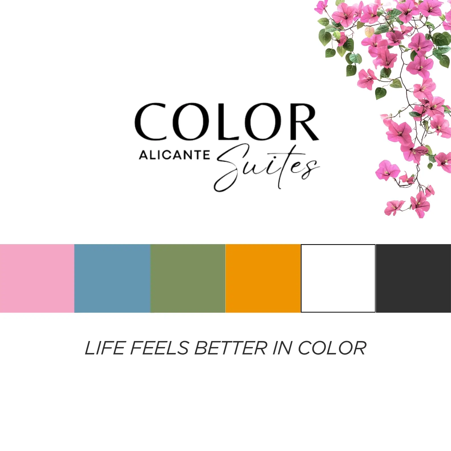 Color Suites